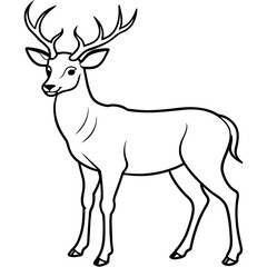       Deer  vector illustration style.
