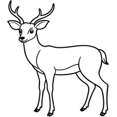       Deer  vector illustration style.
