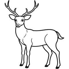       Deer  vector illustration style.
