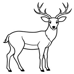       Deer  vector illustration style.
