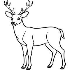       Deer  vector illustration style.
