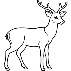       Deer  vector illustration style.
