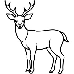       Deer  vector illustration style.
