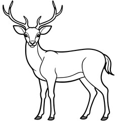       Deer  vector illustration style.
