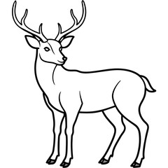       Deer  vector illustration style.
