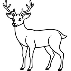       Deer  vector illustration style.
