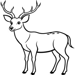       Deer  vector illustration style.
