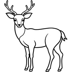       Deer  vector illustration style.
