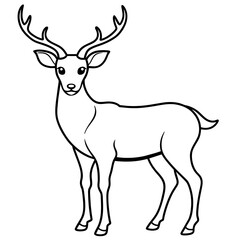       Deer  vector illustration style.

