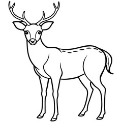       Deer  vector illustration style.
