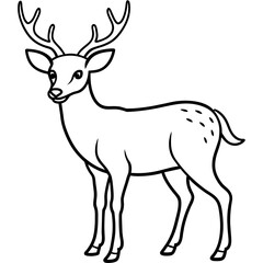       Deer  vector illustration style.

