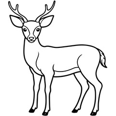       Deer  vector illustration style.
