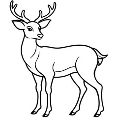       Deer  vector illustration style.
