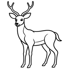       Deer  vector illustration style.
