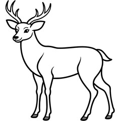       Deer  vector illustration style.
