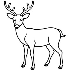       Deer vector illustration style.

