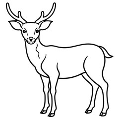       Deer vector illustration style.
