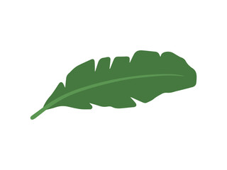 Banana Green Leaf Background Illustration
