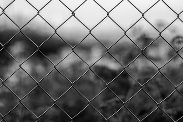 Chain-link fence, mesh, fencing, metal fence, close-up, prohibition, atmospheric