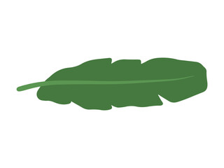 Banana Green Leaves Background Illustration
