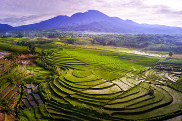 View of Indonesia in the morning, green rice fields, sun rising brightly over the mountain