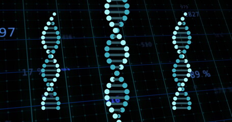 Image of numbers and data processing and dna strands spinning