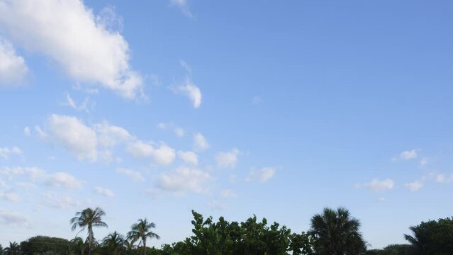 Wide view day time lapse of fast clouds moving across blue sky over palm trees