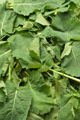 Fototapeta premium Mix of fresh salad as a background. Top view.