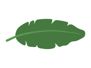 Banana Green Leaves Background Illustration
