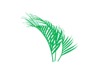 Palm Green Leaf Background Illustration
