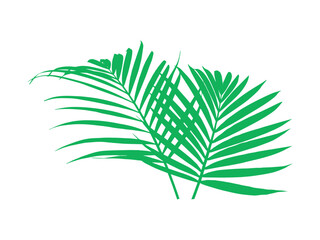 Palm Green Leaf Background Illustration

