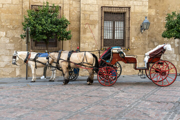 Fototapeta na wymiar Two horses with a cart to carry passengers on a cobbled street in Cordoba, Spain.