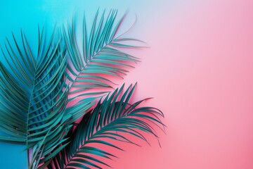 Fototapeta na wymiar Palm leaf on a pink-blue background. Top view of the minimalistic concept of summer.