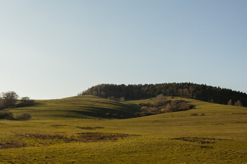 Green grass field on small hills and blue sky