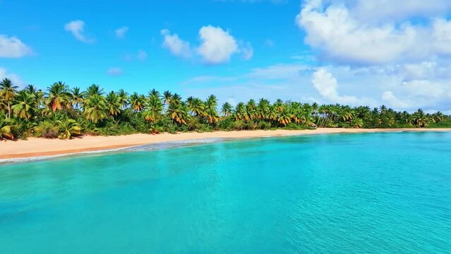 Lush coconut palms along the wide Caribbean coastline. Clear blue ocean and idyllic white sand beach. Tourist resort of the Dominican Republic. Sunny holiday on the beach of a tropical island.