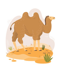 Bactrian camel among the sand and bushes. Cheerful desert animal among cacti. Template for use in children's design, textiles, books, packaging. Funny vector illustration in children's drawing style. - 785525010