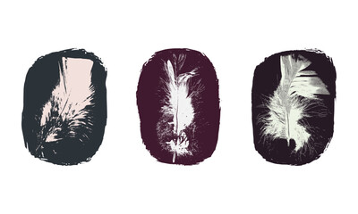 Collection of three pale neutral coloured print relief style feathers. Vectors of feathers on bold coloured textured shape.