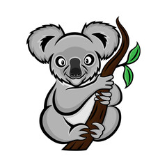 Cute animal koala sitting on a branch on a white background.