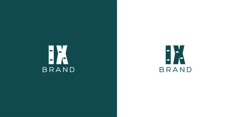 IX Letters vector logo design