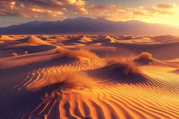 Foto op Canvas Majestic Sunrise Over Desert Sands, Golden Glow Landscape Scene   © shiyi