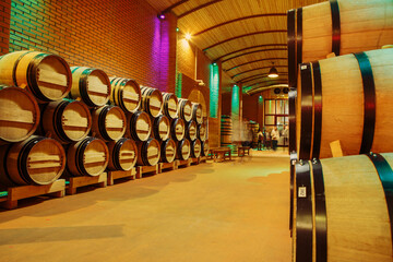 Room Filled With Wooden Barrels in Wine Cellar