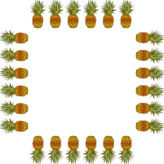 Square frame with pineapple on white background. Vector image.