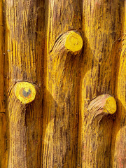 A row of yellow and brown tree trunks with a red stripe