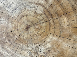 The image is of a large piece of wood with a hole in the center