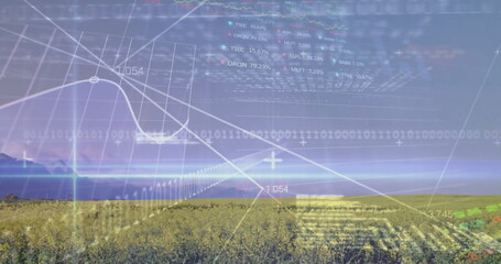 Image of stock market and data processing over field