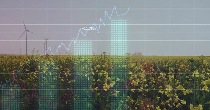 Image of diagrams and data processing over field with wind turbines