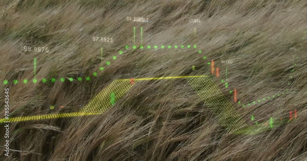 Poster image of diagrams and data processing over grass waving