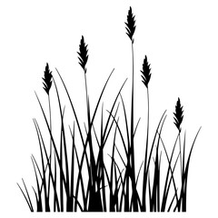 PNG  Grass silhouette plant tranquility