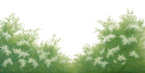 Fototapeta premium PNG Painting of green bush bloom border backgrounds landscape outdoors