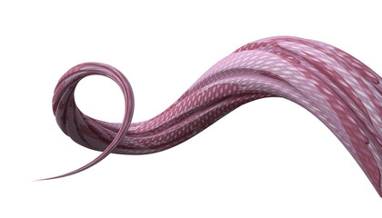 Abstract Graphic Element 3D render